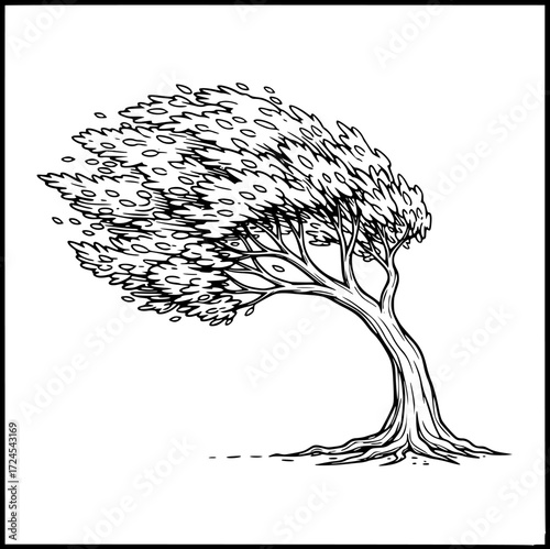 Windswept Tree in Black and White Line Art Illustration