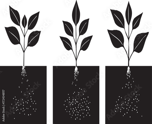 Vector art of three plants with roots and leaves