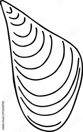 Black and white line drawing of a mussel shell
