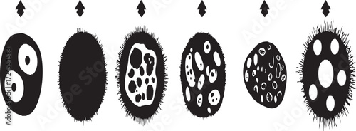 Vector art of stages of virus development