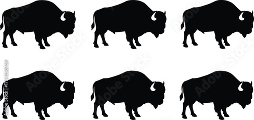 Bison silhouettes, identical poses, side profile, black design, wildlife vector, animal set, nature icon, American buffalo illustration