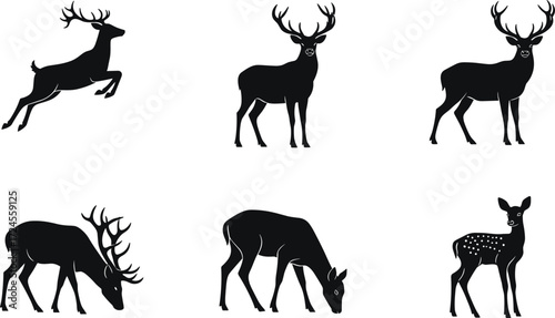 Deer silhouettes, leaping pose, grazing stag, standing doe, spotted fawn, antlered buck, wildlife vector, animal set, black design