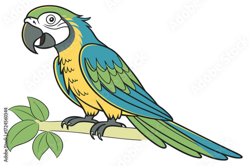 blue and yellow macaw