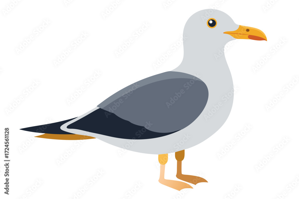 Obraz premium vector illustration of a seagull 