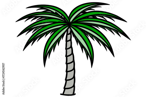 palm tree silhouette