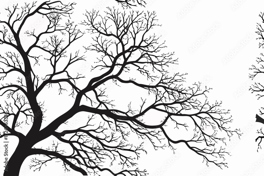 Fototapeta premium branch of a tree