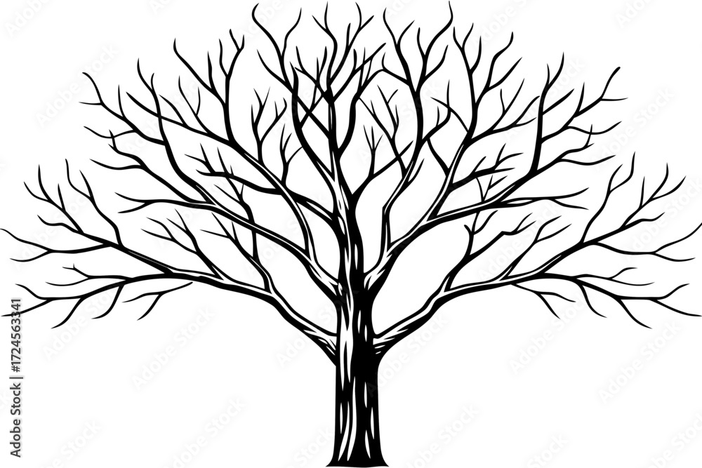 Obraz premium tree silhouette vector