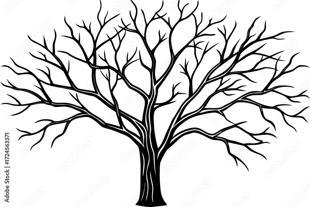 Obraz premium black and white tree