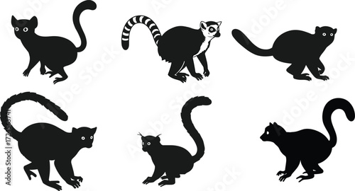 Lemur silhouette illustrations, black vector, ring-tailed detail, varied pose, animal design, character set, wildlife art, primate study
