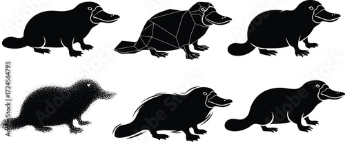 Platypus illustrations, stylized silhouettes, geometric design, stippled texture, flowing lines, minimal detail, vector animal set, artistic variation
