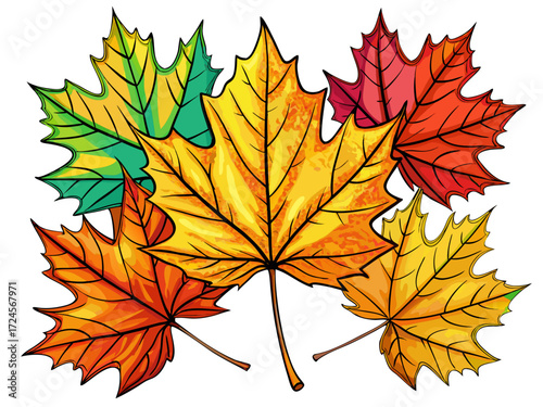 Vibrant hand drawn autumn maple leaves vector illustration scalable seasonal foliage graphics