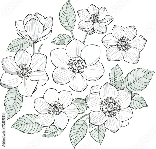 Floral flowers vector set