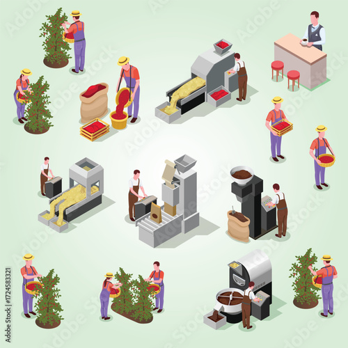 Isometric Detailed Coffee Bean Processing and Production Stages Illustration Diagram