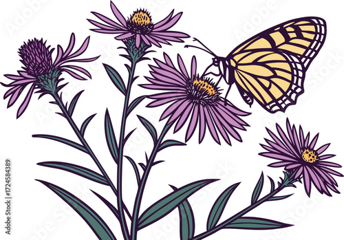 New England Aster Flower Illustration. Colorful New England Aster Botanical Design. Elegant New England Aster Floral Artwork. Isolated New England Aster Bloom Illustration. Decorative New England