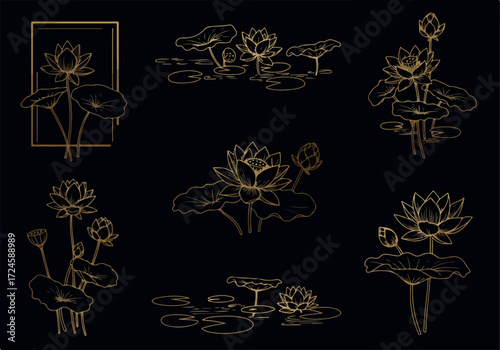 Elegant Golden Lotus Flower Illustrations on Black Background.