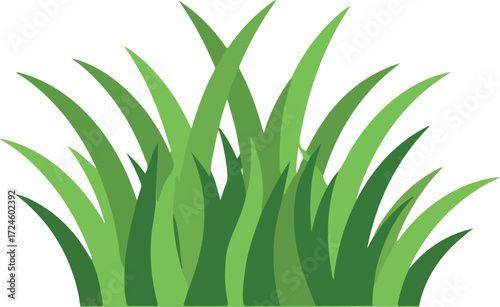 Green grass blades illustration vibrant natural plant life outdoor scene nature.
