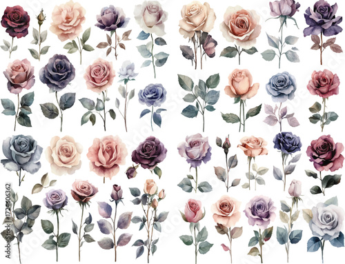 Artistic assortment of delicate watercolor roses in various hues and stages of bloom vector