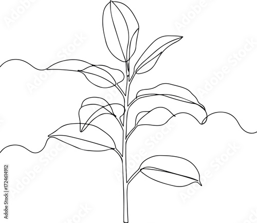 Minimalist line drawing of a plant with large leaves and a slender stem.