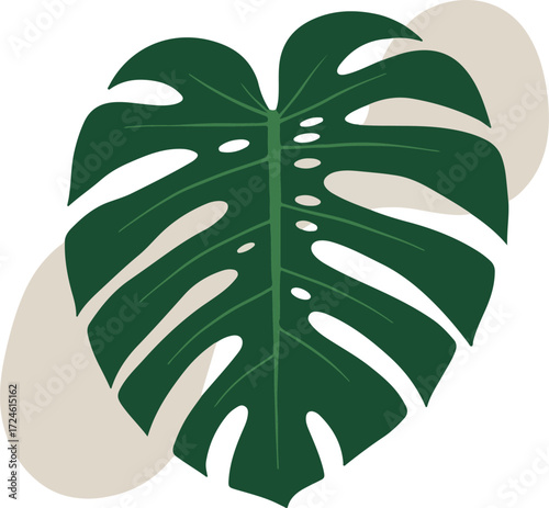 Monstera leaf illustration with intricate details and vibrant green color.