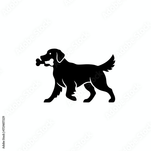 Black dog walking with a bone in its mouth on white background  