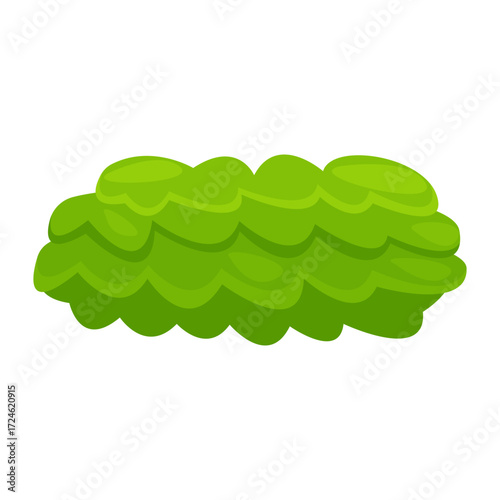 Vibrant green shrub with layered leaves, set against a minimalist white background