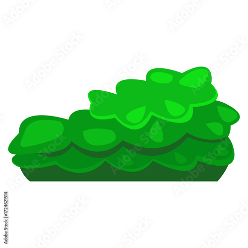 Vibrant green foliage with rounded leaves against a white background, ideal for nature-themed designs