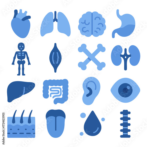 Human Anatomy Icons: A concise collection of meticulously crafted icons, showcasing the intricate wonders of human anatomy in a visually engaging style.