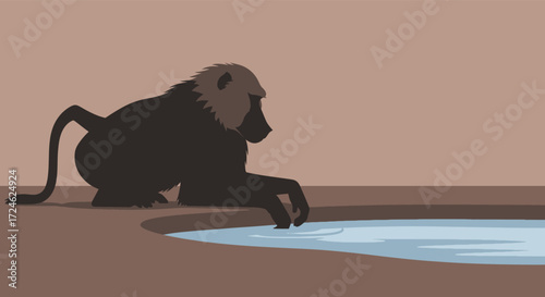 Silhouette of a Baboon Drinking from a Waterhole.