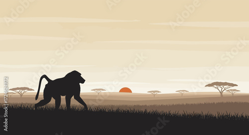 Silhouette of a Baboon Walking Across the African Savannah at Sunset.