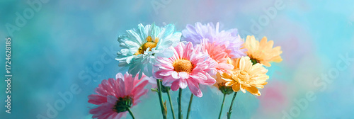 Soft pastel colored chrysanthemums clustered together against a dreamy blue background