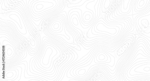 Topography and geography map grid abstract backdrop. Business concept. Fish Fillet Texture, Salmon fillet texture, fish pattern. paper texture.
