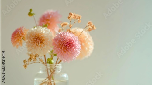 Delicate pastel dahlia flowers in a glass vase with soft diffused light