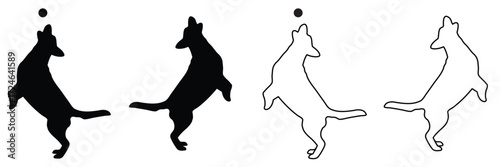 labrador retriever dog breed black silhouette