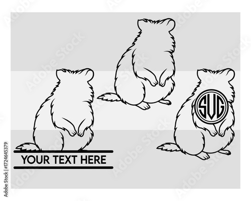 Quokka Silhouette, Quokka Svg, Animal, Australian Wildlife clipart, quokka outline, quokka cute Svg, Quokka Png, Quokka Svg Images,