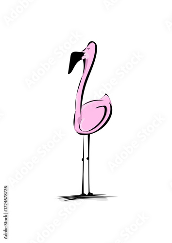 Flamingo