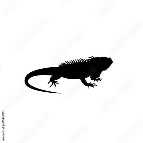 Silhouette of a large iguana profile view detailed body and tail black and white image.