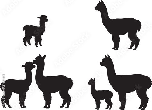 Alpaca silhouette set adult baby animal domestic farm mammal south american vector