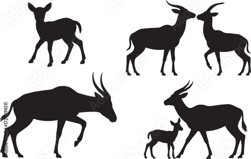 Deer Silhouette Set Elegant Wild Animal Design Nature Wildlife Illustration Collection