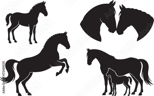 Horse Silhouette Set Stallion Mare Foal Equestrian Animal Wildlife Vector Collection