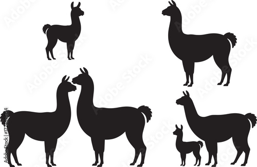 Llama silhouette set adult baby animal domestic farm mammal south american vector