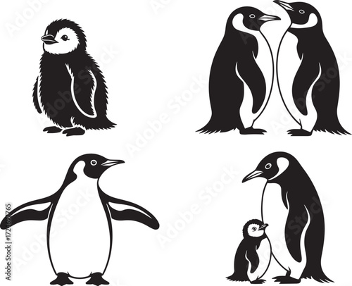 Penguin family wildlife animal vector illustration set isolated on transparent background