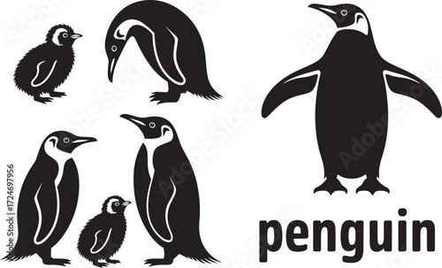 Penguins set isolated black silhouette. Adult, chick and family penguins group collection