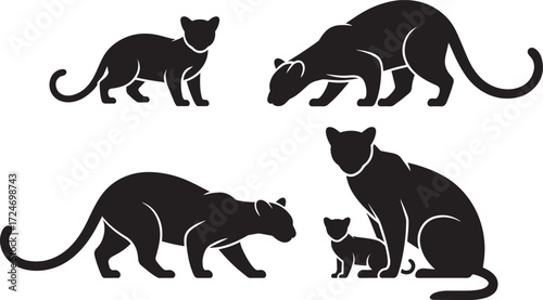 Set of wild panthers family. Adult panthers hunt. Cute panther calf. Sleek wild predators