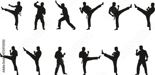 Martial arts silhouette vector set, karate poses, taekwondo kicks, fighter stances, self defense illustration, training, combat, discipline, sport
