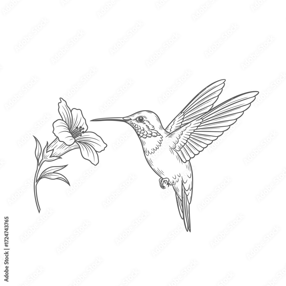 Obraz premium Delicate Hummingbird Hovering at a Flower Vector Silhouette Graphic Design Element