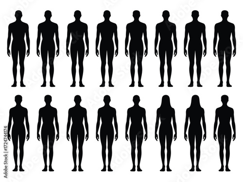 Vector illustration of diverse human body silhouettes scalable graphics for design projects vector