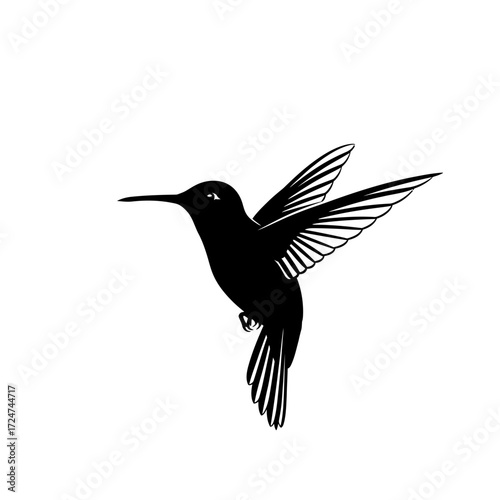 Graceful South American Hummingbird Silhouette Vector Delicately Hovering near a Blossom