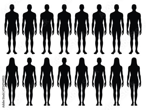 Vector illustration of full body human silhouettes male and female poses for design vector