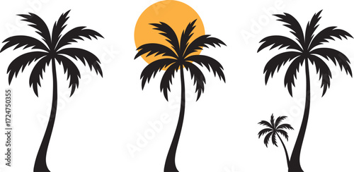 palm tree silhouette, Dubai palm tree, palm tree art 2025 in the sea beach.