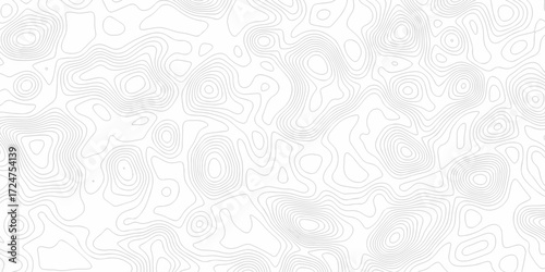 Minimal white line geometric grid outline curve counter map and wavy topography relief discovery area white, black line texture background.	
